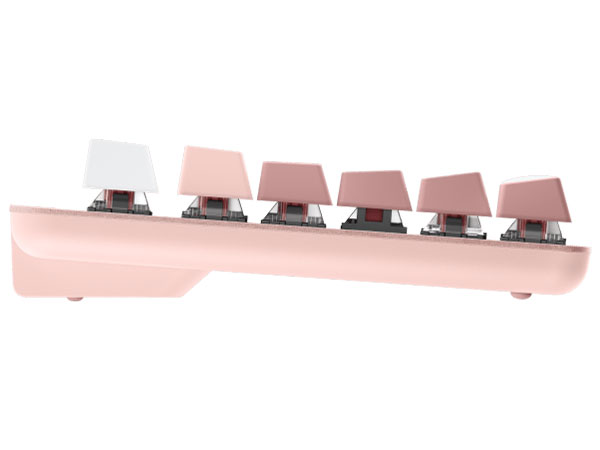 SIGNATURE K855 K855RO �Ԏ� [���[�Y]