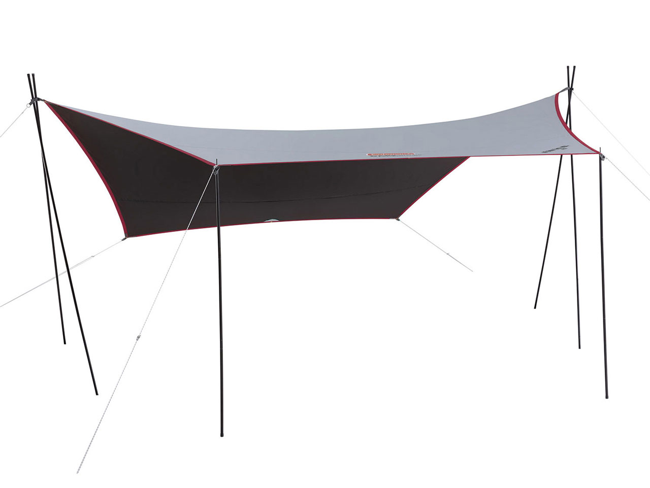 XP �w�L�T�^�[�v/MDX+ 2000036441