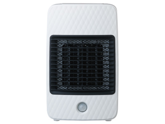 CDCP308 �̐��i�摜