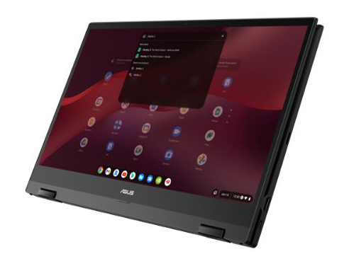 Chromebook Vibe CX55 Flip(CX5501) CX5501FEA-NA0256