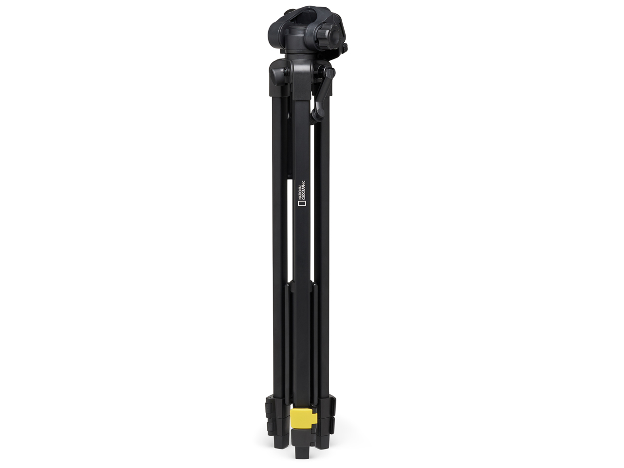 NGPT002