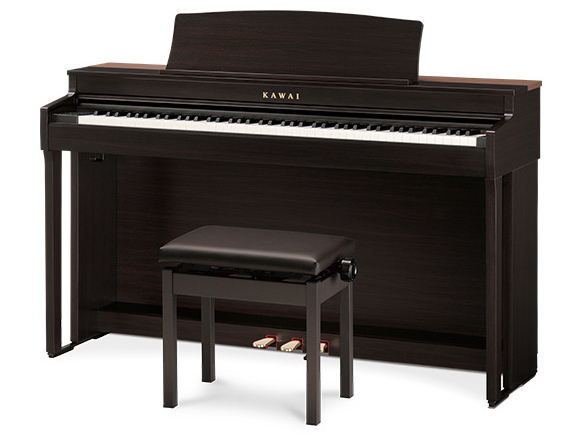 DIGITAL PIANO CN301R [�v���~�A�����[�Y�E�b�h��] �̐��i�摜