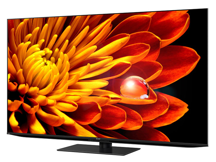 AQUOS XLED 4T-C65EP1 [65�C���`]