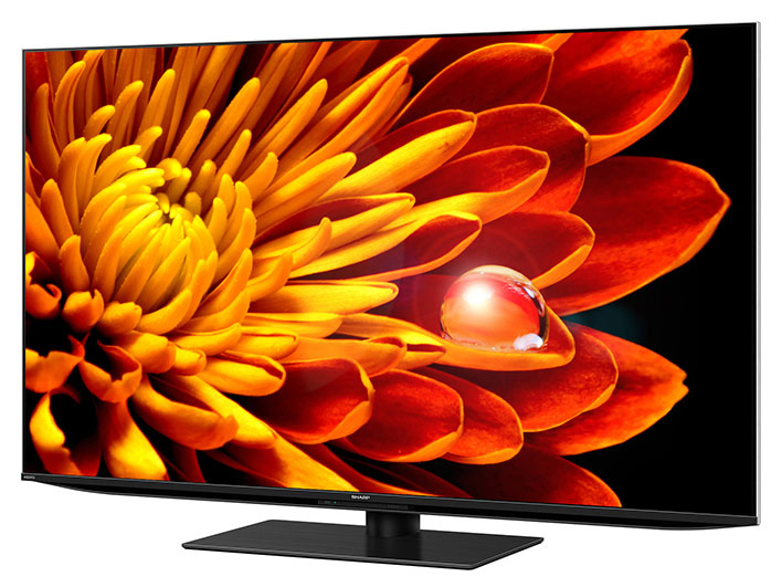 �w�{�� �΂�1�x AQUOS XLED 4T-C55EP1 [55�C���`] �̐��i�摜