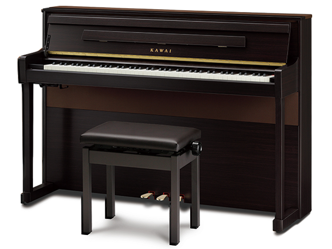 Concert Artist CA901R [�v���~�A�����[�Y�E�b�h��] �̐��i�摜