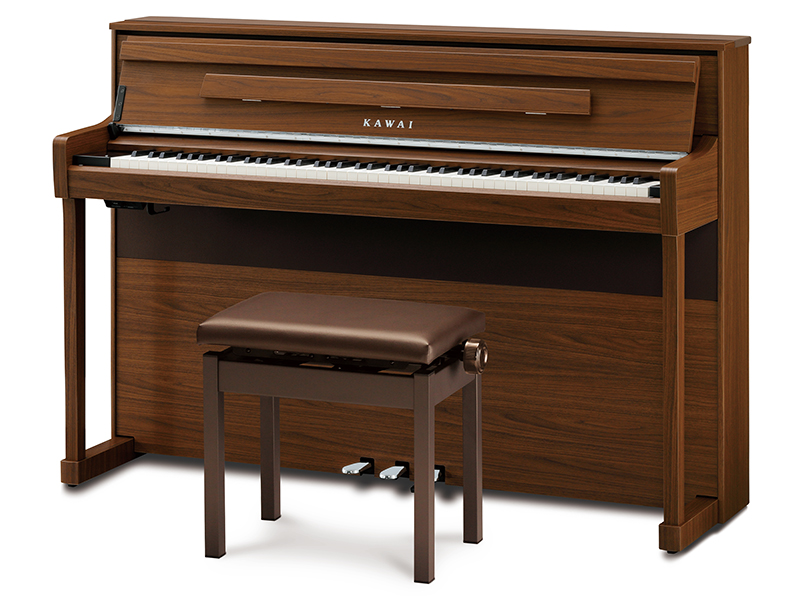 Concert Artist CA901NW [�i�`�������E�H���i�b�g��] �̐��i�摜