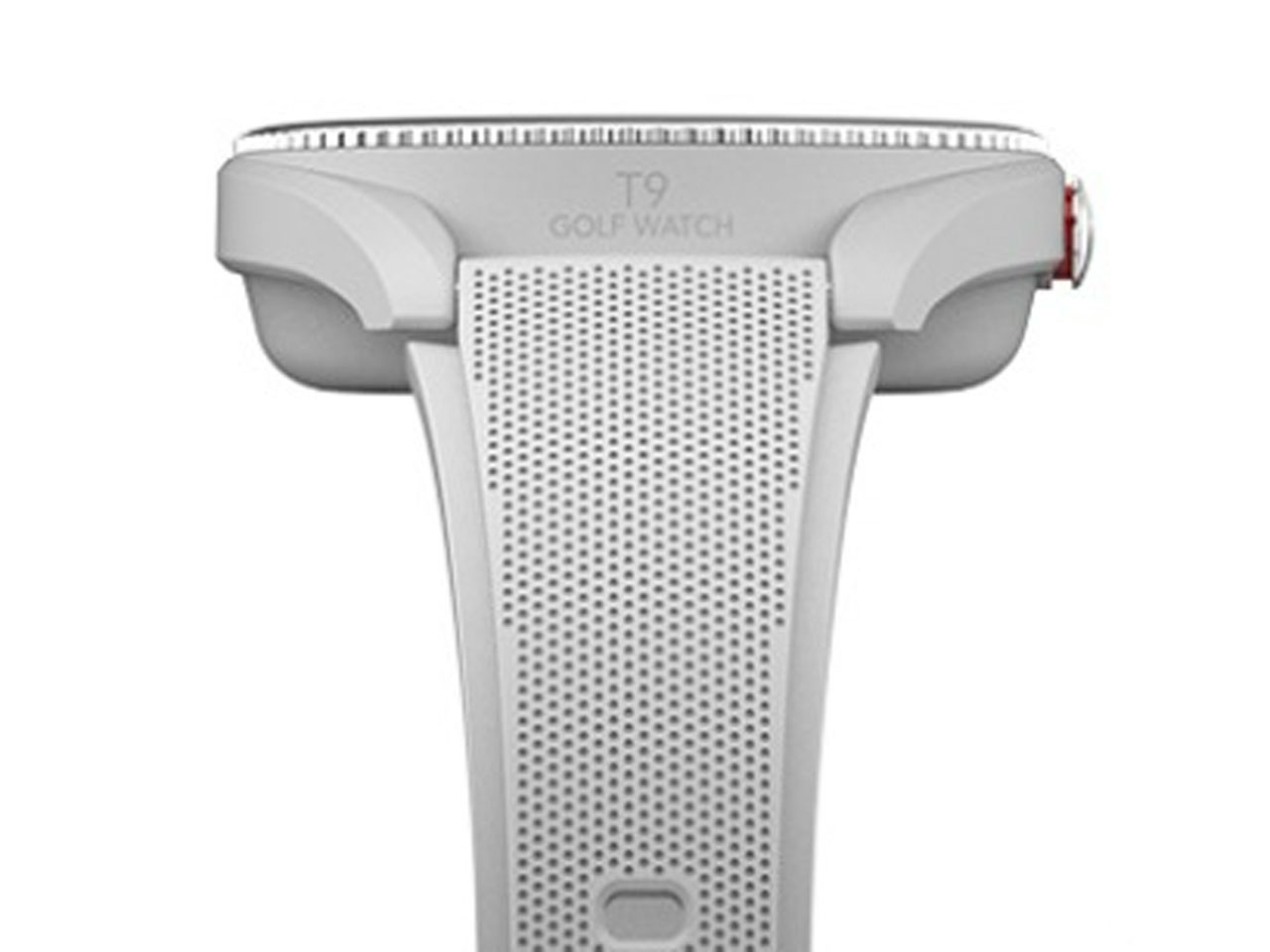 Voice Caddie T9 [�O���[]