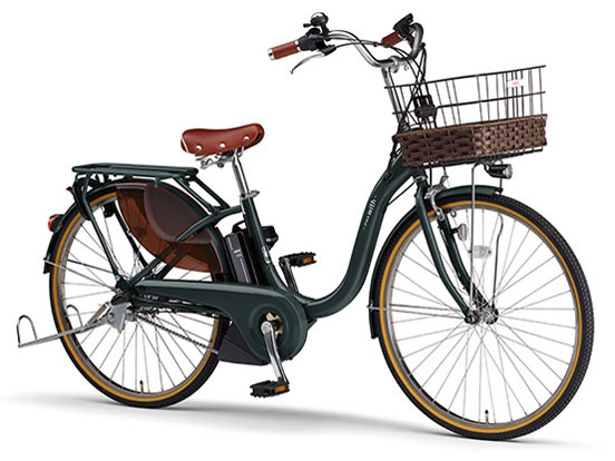 PAS With DX PA24WDX 2023�N���f�� [�f�B�[�v���C�N�O���[��] + ��p�[�d��