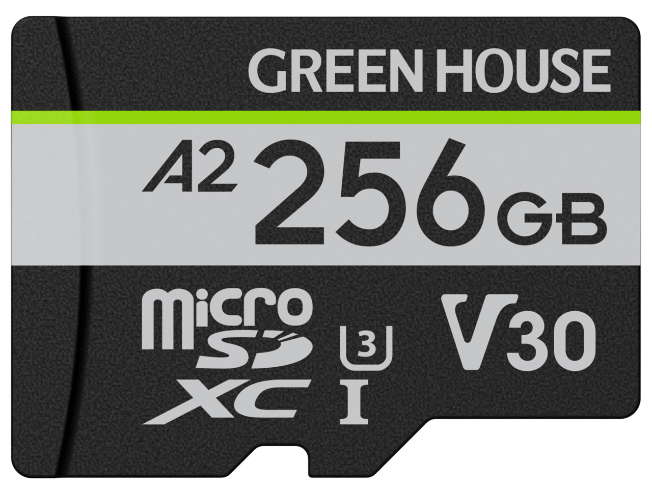 GH-SDM-ZB256G [256GB] �̐��i�摜