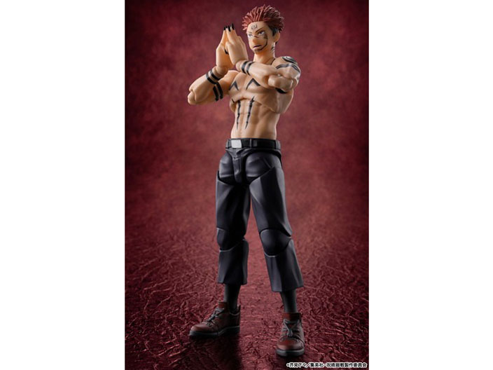 S.H.Figuarts �h�T