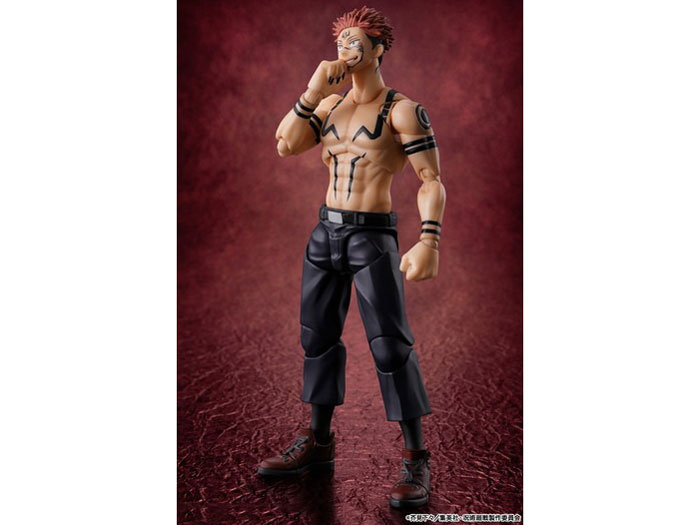 S.H.Figuarts �h�T