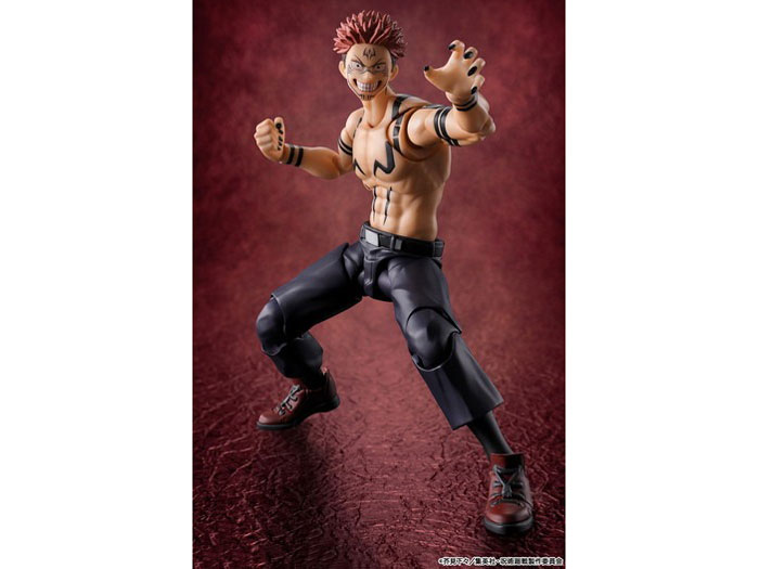 S.H.Figuarts �h�T