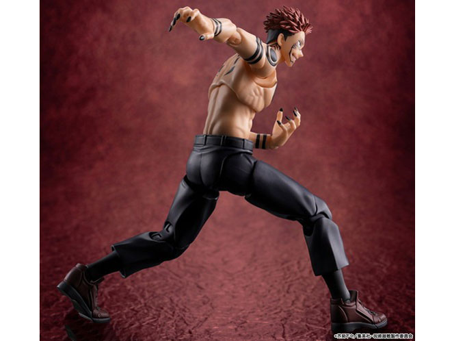 S.H.Figuarts �h�T