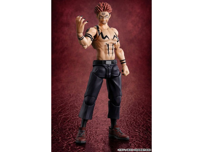 S.H.Figuarts �h�T �̐��i�摜