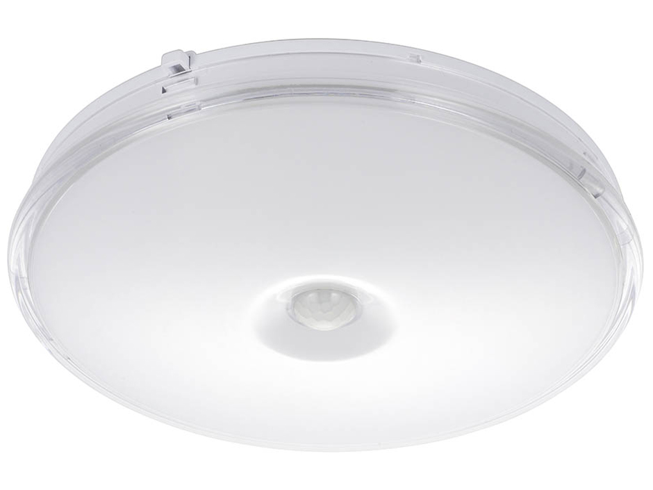 LE-Y14LK-WS R �̐��i�摜