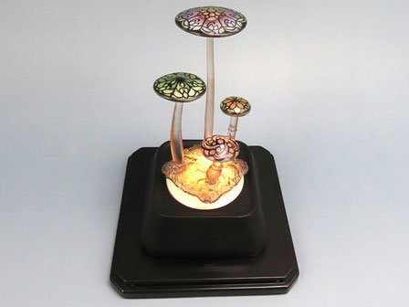 �v���v�� �����~���[�W�A�� �����L�m�R �X�e���h�O���X