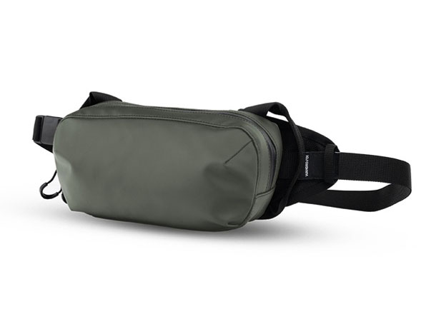 D1�t�@�j�[�p�b�N D1FP-WG-2 [���T�b�`�O���[��]