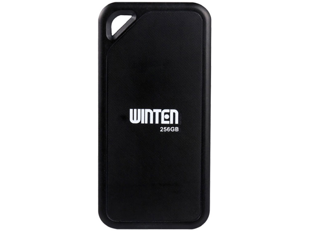 WT300-PSSD-256GB �̐��i�摜