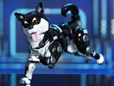 KKP001-02 �T�C�o�[�y�b�g HIHI �������t�B�M���A �̐��i�摜