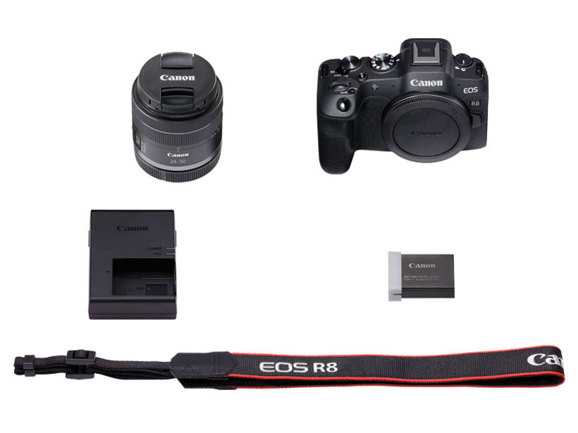 wZbgex EOS R8 RF24-50 IS STM YLbg ̐i摜