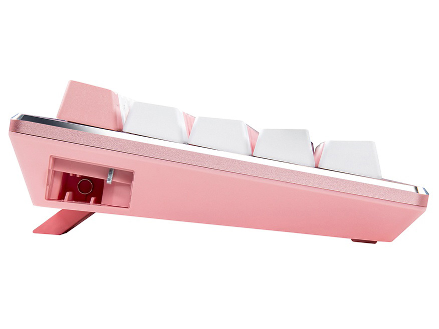 CK721 CK-721-SKTR2-US �Ԏ� [Sakura]