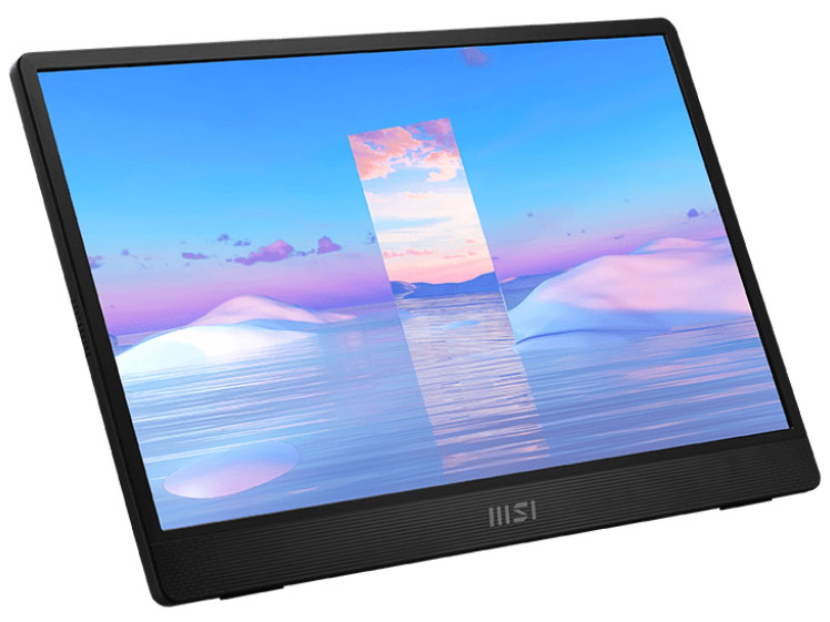 PRO MP161 [15.6�C���`]