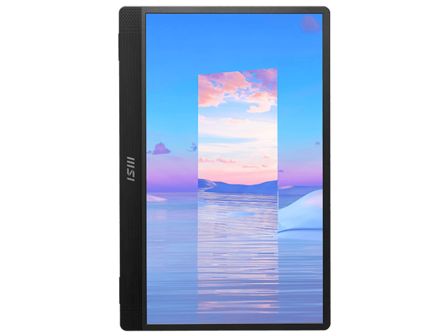 PRO MP161 [15.6�C���`]