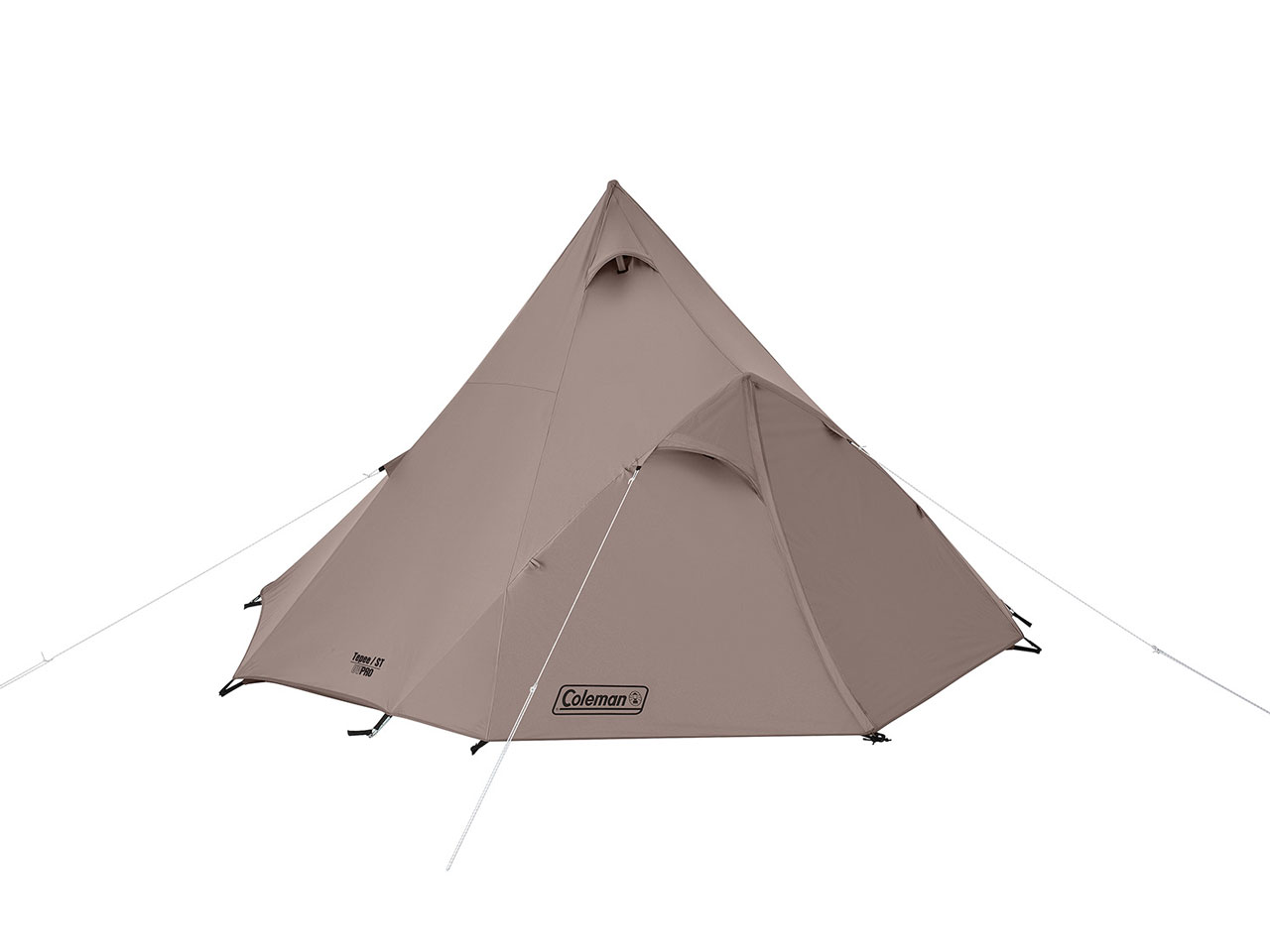 �e�B�s�[/ST 2185614 [�O���[�W��]