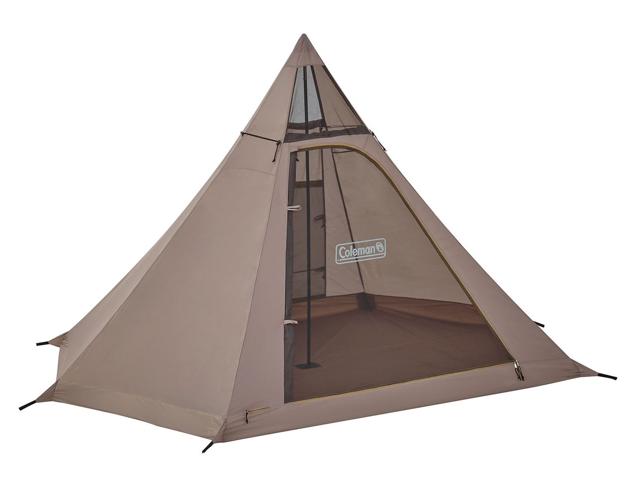 �e�B�s�[/ST 2185614 [�O���[�W��]