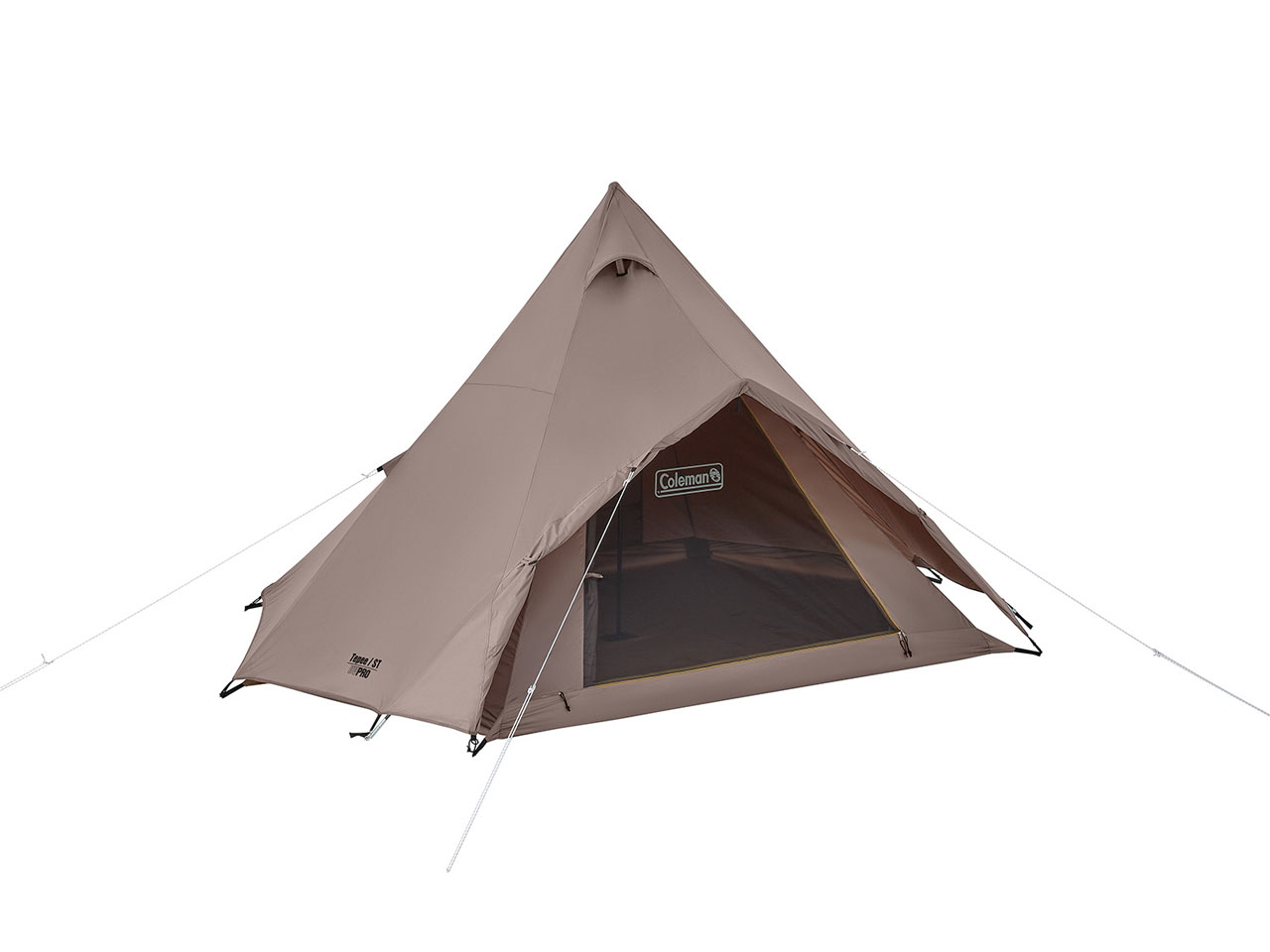 �e�B�s�[/ST 2185614 [�O���[�W��] �̐��i�摜