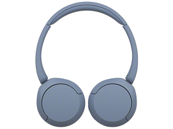 WH-CH520 (L) [�u���[]