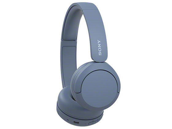 WH-CH520 (L) [�u���[]