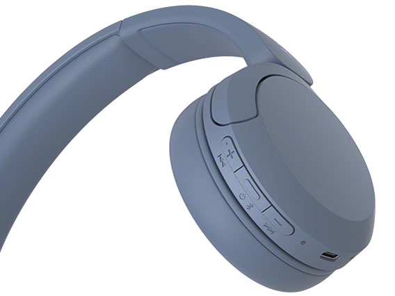 WH-CH520 (L) [�u���[]