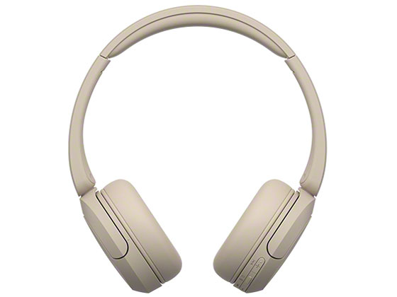 WH-CH520 (C) [�x�[�W��]