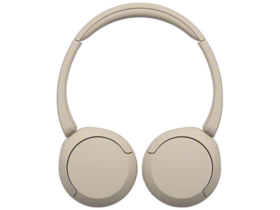 WH-CH520 (C) [�x�[�W��]