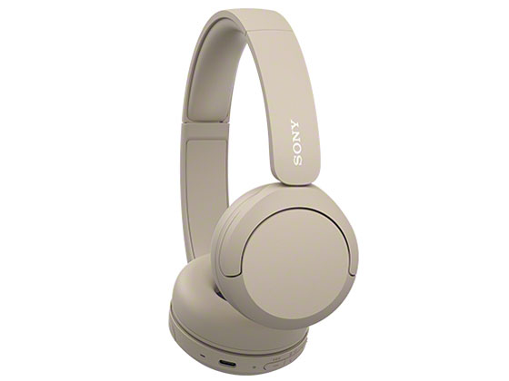 WH-CH520 (C) [�x�[�W��]