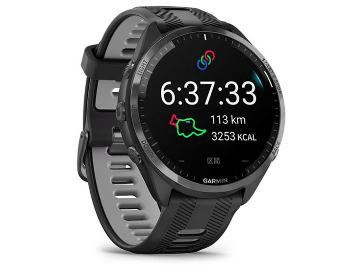 Forerunner 965 010-02809-60 [Black]