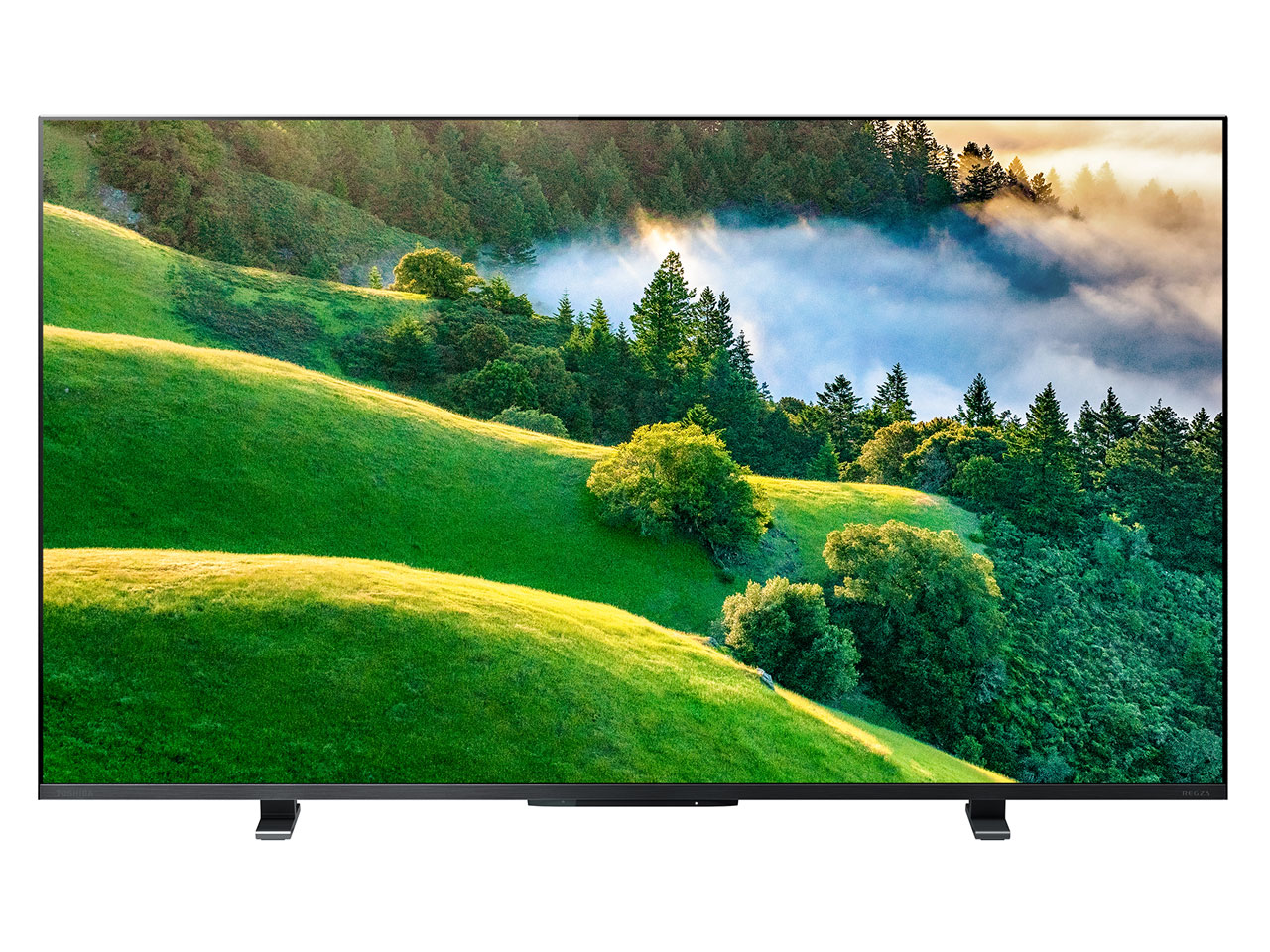 REGZA 50M550L(B) [50�C���`] �̐��i�摜