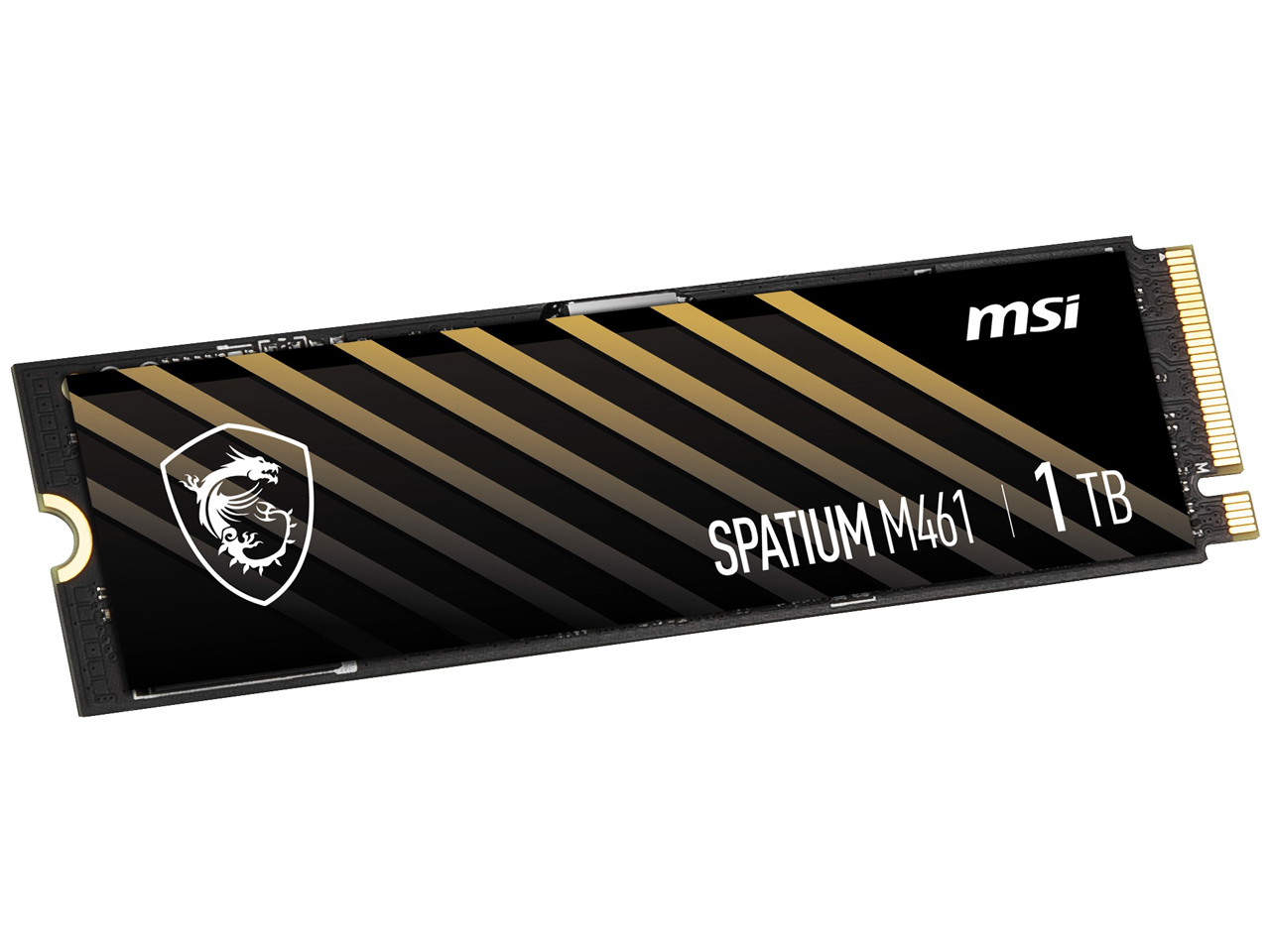 SPATIUM M461 PCIe 4.0 NVMe M.2 1TB