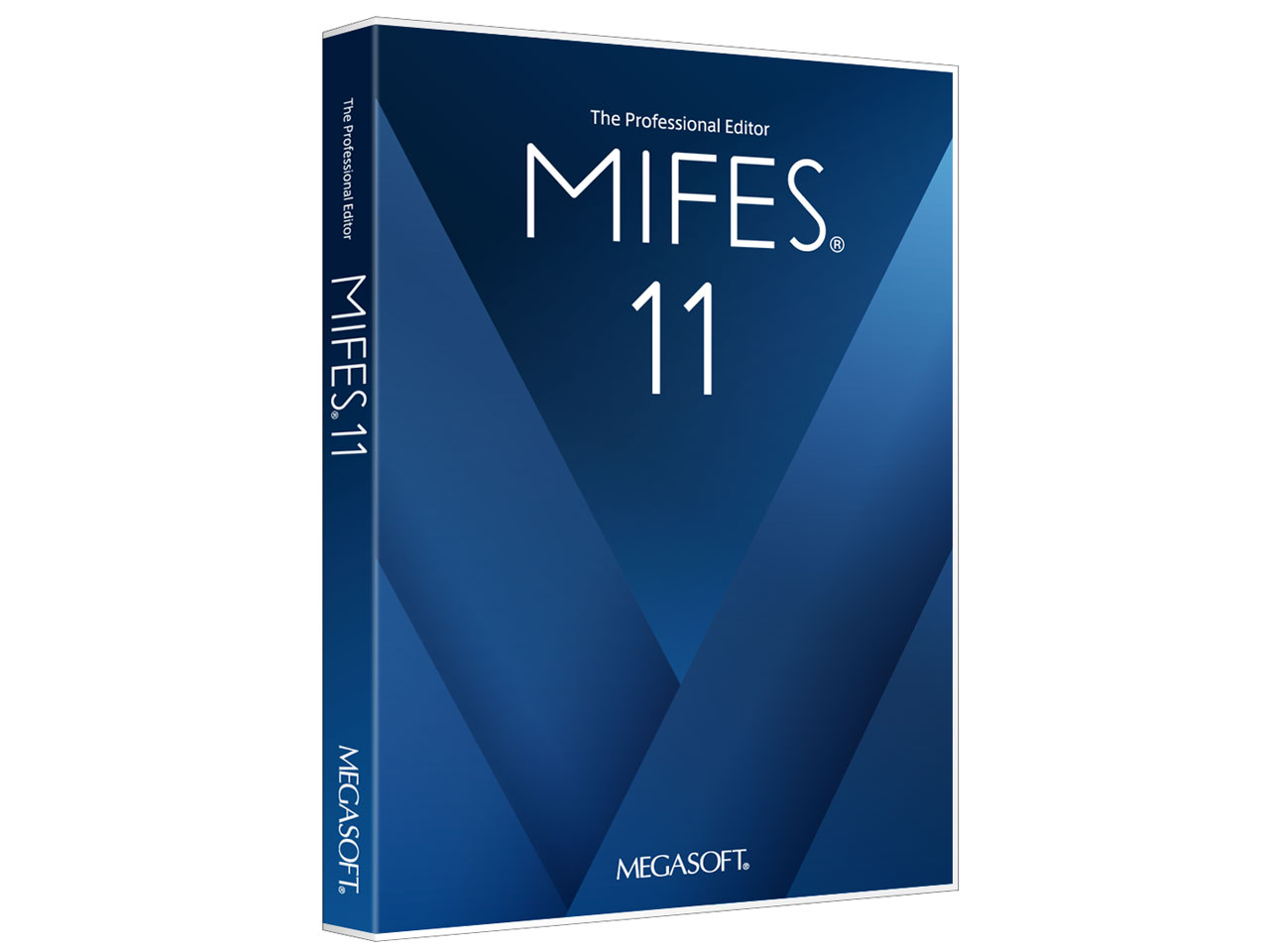 MIFES 11 �̐��i�摜