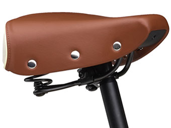 PAS CITY-C BLACK LIMITED [�}�b�g�u���b�N] + ��p�[�d��