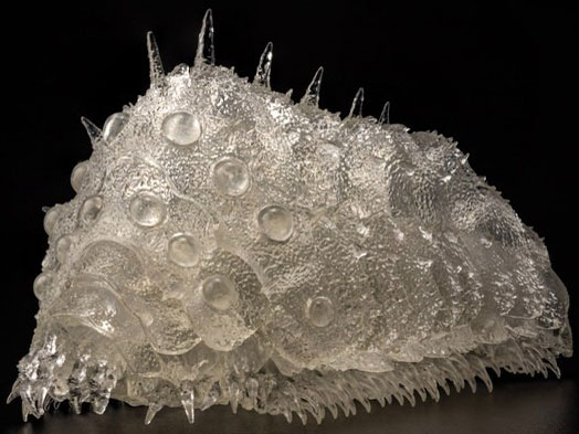 �^�P�������ݒu�� ���̒J�̃i�E�V�J ��� (��) �N���Aver. �̐��i�摜