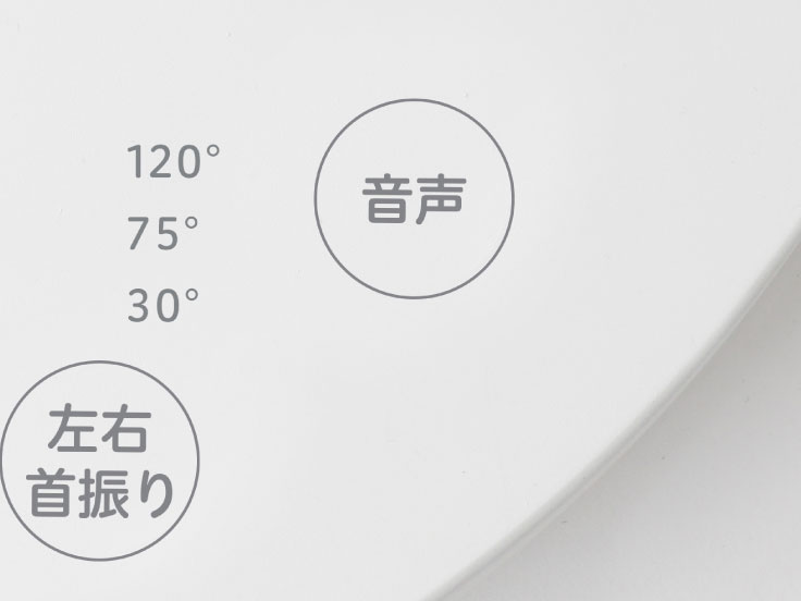 SF-V181(W) [�z���C�g]