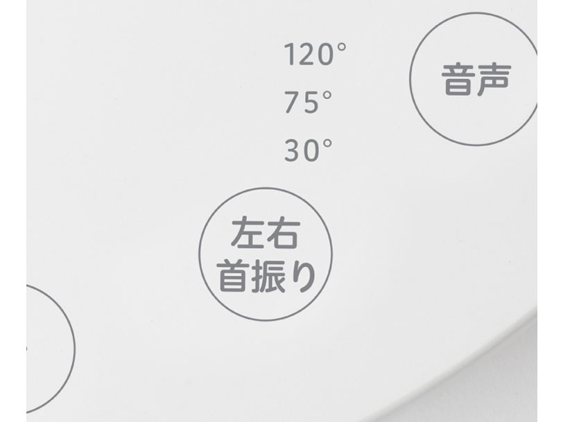 SF-V181(W) [�z���C�g]