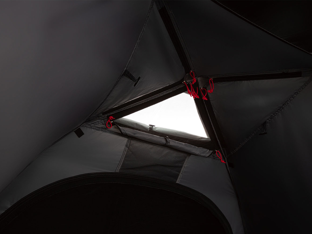 �c�[�����O�h�[���G�A�[/LX+ 2000039085