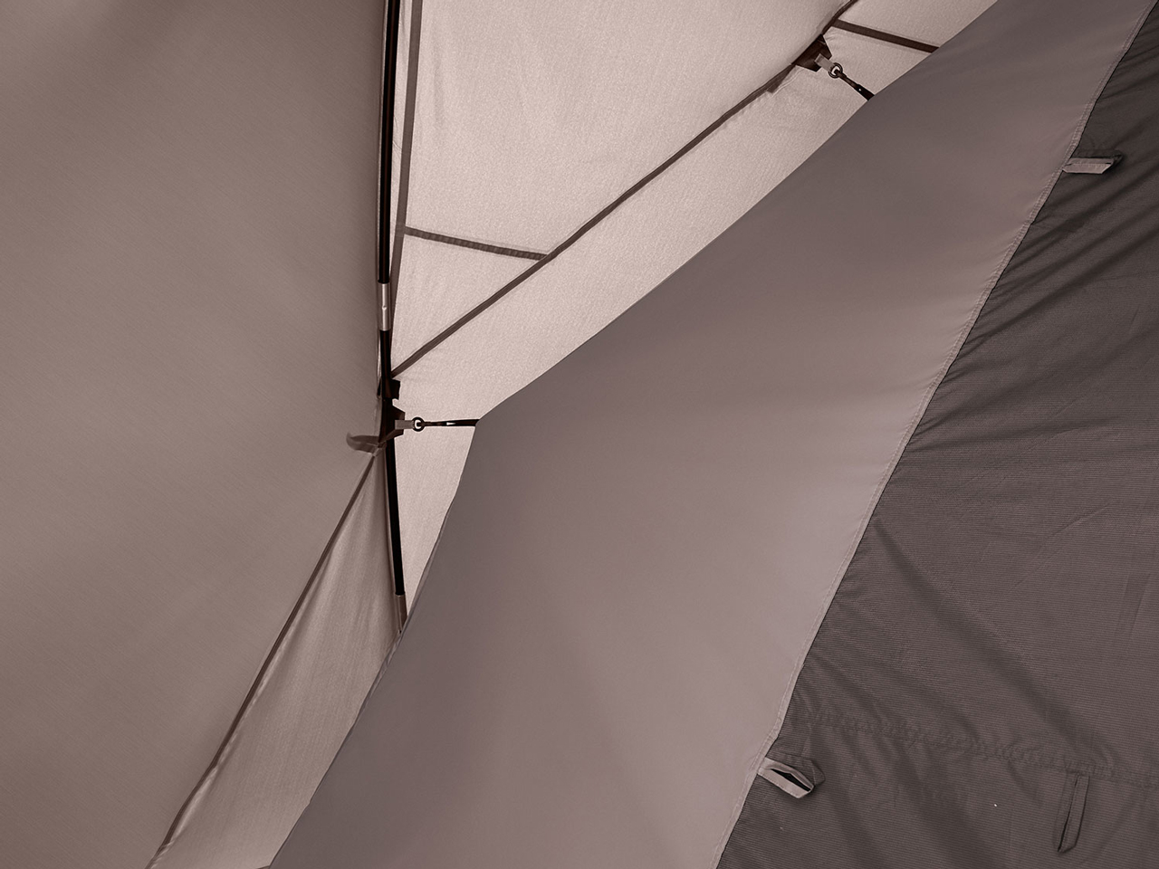 ���C�h�e�B�s�[/3025 2185613 [�O���[�W��]