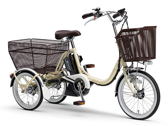PAS ���S�� PA16W 2023�N���f�� [�A�C�{���[] + ��p�[�d��
