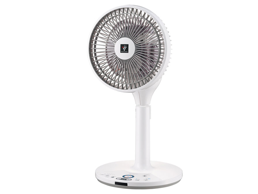 PJ-R2DS-W [�z���C�g�n]