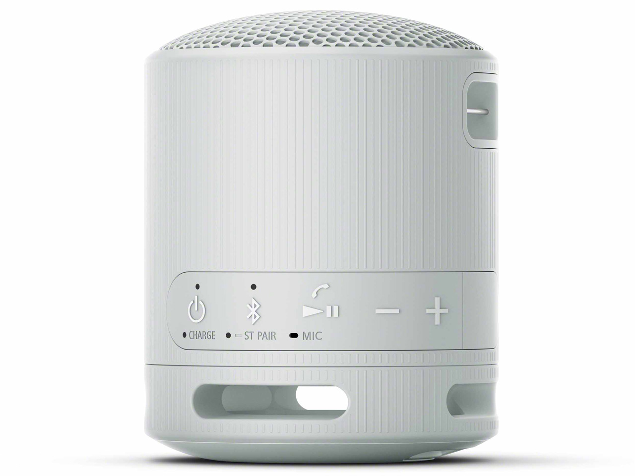 SRS-XB100 (HC) [���C�g�O���[]