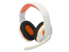 CC-P5MGH-WO [�z���C�g&�I�����W] �̐��i�摜